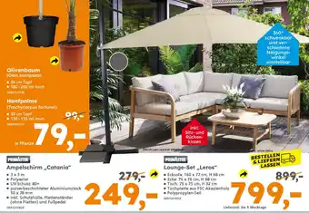 Globus Baumarkt PRIMASTER Ampelschirm ,,Catania" Angebot
