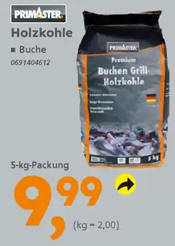Globus Baumarkt PRIMASTER Holzkohle Angebot