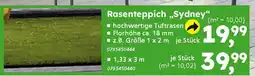 Globus Baumarkt Rasenteppich „Sydney" Angebot