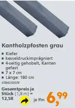 Globus Baumarkt Kantholzpfosten grau Angebot