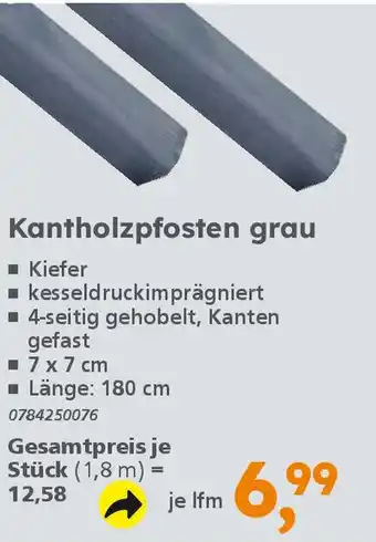Globus Baumarkt Kantholzpfosten grau Angebot