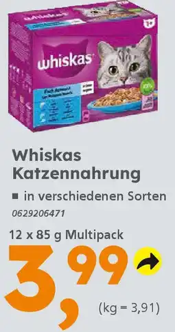 Globus Baumarkt Whiskas Katzennahrung Angebot