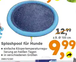 Globus Baumarkt Splashpool für Hunde Angebot