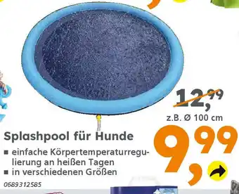 Globus Baumarkt Splashpool für Hunde Angebot