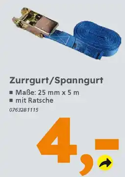 Globus Baumarkt Zurrgurt/Spanngurt Angebot