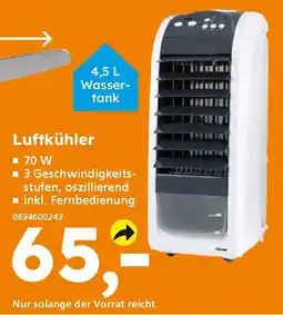 Globus Baumarkt Luftkühler Angebot