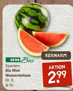 nahkauf Rewe bio bio mini wassermelone Angebot