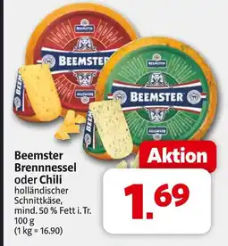 Markant Beemster brennessel Angebot