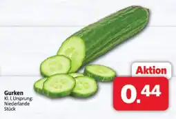 Markant Gurken Angebot