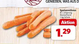 Markant Speisemöhren Angebot