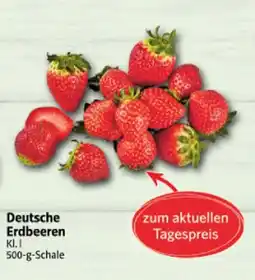 Markant Deutsche erdbeeren Angebot