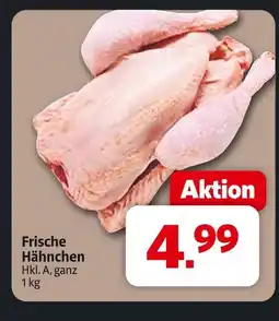 Markant Frische hähnchen Angebot