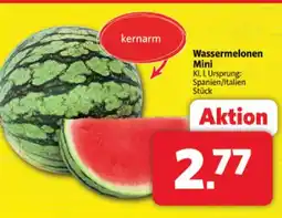 Markant Wassermelonen mini Angebot