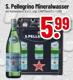 trinkgut S. pellegrino mineralwasser Angebot