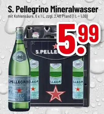 trinkgut S. pellegrino mineralwasser Angebot
