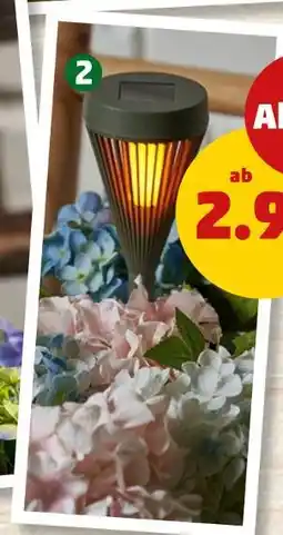 PENNY Solarsteckfackel Angebot