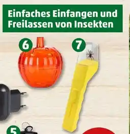 PENNY Umweltfreundlicher insektenschutz Angebot