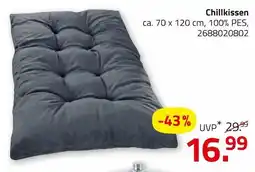 ROLLER Chillkissen Angebot