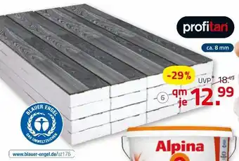 ROLLER Profitan laminat Angebot