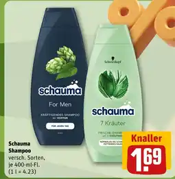 REWE Schauma shampoo for men Angebot