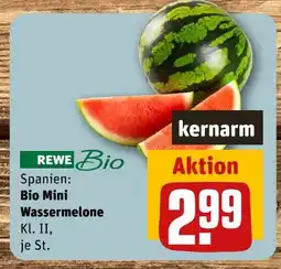 REWE Rewe bio bio mini wassermelone Angebot
