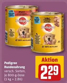 REWE Pedigree hundenahrung Angebot