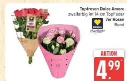 Marktkauf Edeka topfrosen dolce amore Angebot