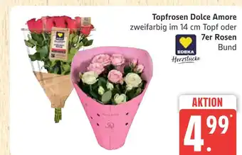 Marktkauf Edeka topfrosen dolce amore Angebot