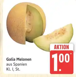 Marktkauf Galia melonen Angebot