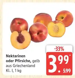 Marktkauf Nektarinen Angebot