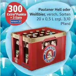 Marktkauf Paulaner hell oder weißbier Angebot