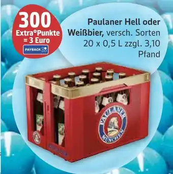 Marktkauf Paulaner hell oder weißbier Angebot