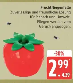 Marktkauf Fruchtfliegenfalle Angebot