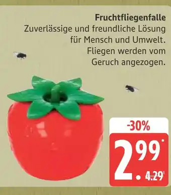 Marktkauf Fruchtfliegenfalle Angebot
