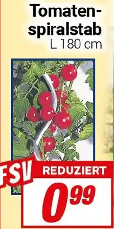 CENTERSHOP Tomatenspiralstab Angebot