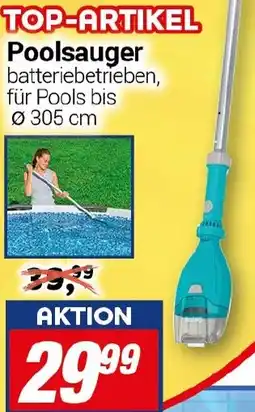 CENTERSHOP Poolsauger Angebot