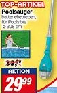 CENTERSHOP Poolsauger Angebot