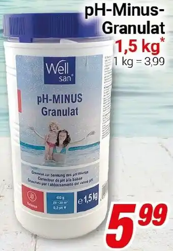 CENTERSHOP Well san pH-Minus Granulat Angebot