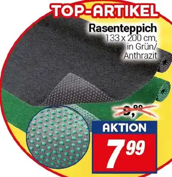 CENTERSHOP Rasenteppich Angebot
