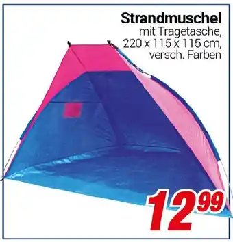 CENTERSHOP Strandmuschel Angebot