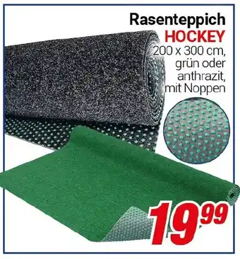 CENTERSHOP Rasenteppich HOCKEY Angebot