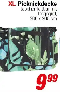 CENTERSHOP XL-Picknickdecke Angebot