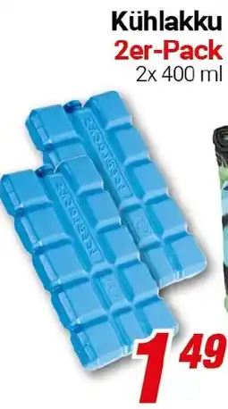 CENTERSHOP Kühlakku 2er-Pack Angebot