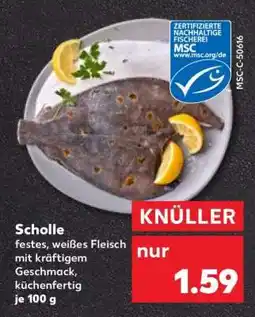 Kaufland Scholle Angebot