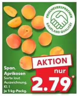Kaufland Span. Aprikosen Angebot