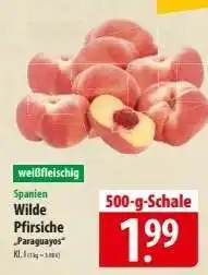 Famila Nord Ost Wilde Pfirsiche 'Paraguayos' Angebot