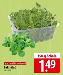 Famila Nord Ost Feldsalat Angebot