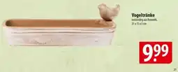 Famila Nord Ost Vogeltränke Angebot