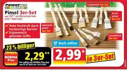 Norma Pinsel 3er-Set Angebot