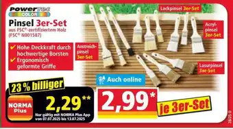 Norma Pinsel 3er-Set Angebot